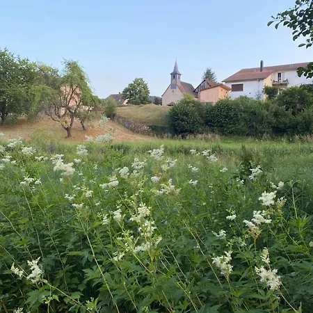 Le Refuge De L'ours Сasa de vacaciones Baerenthal