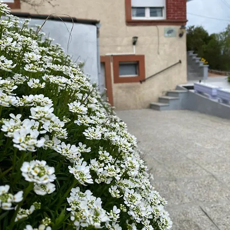 Сasa de vacaciones Le Refuge De L'ours Baerenthal