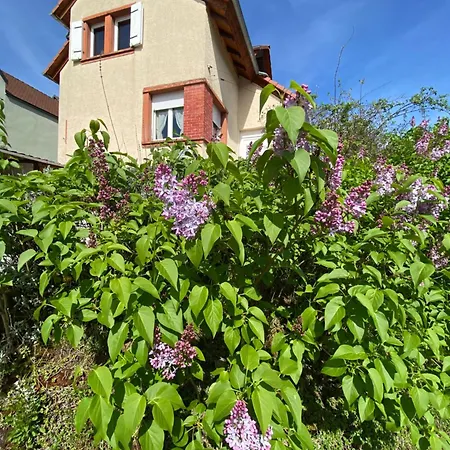 Le Refuge De L'ours Сasa de vacaciones Baerenthal