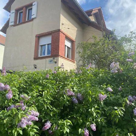 Le Refuge De L'ours * Baerenthal