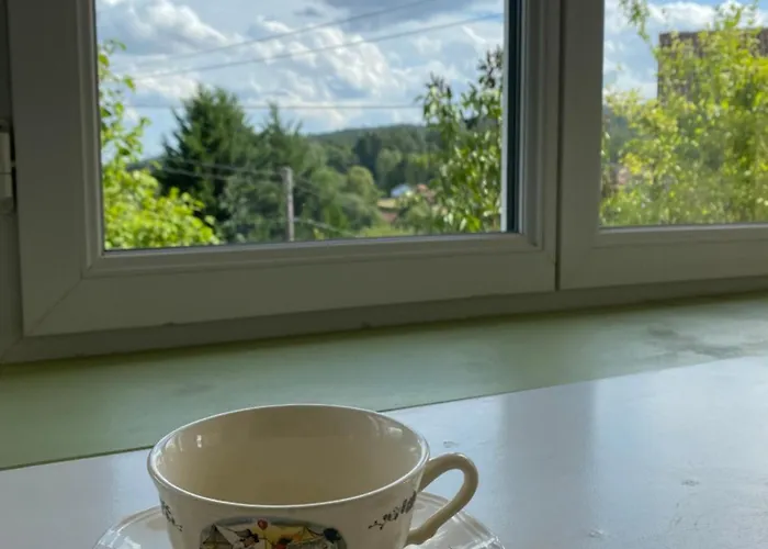 Le Refuge De L'ours Dom wakacyjny Baerenthal