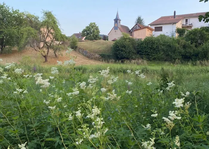 Le Refuge De L'ours Dom wakacyjny Baerenthal