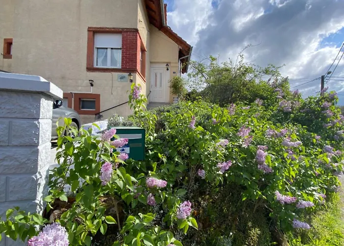 Dom wakacyjny Le Refuge De L'ours