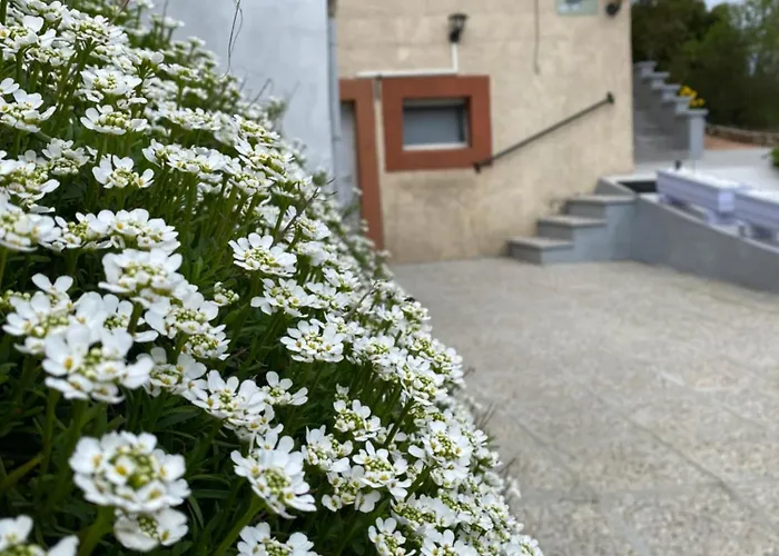 Dom wakacyjny Le Refuge De L'ours Baerenthal