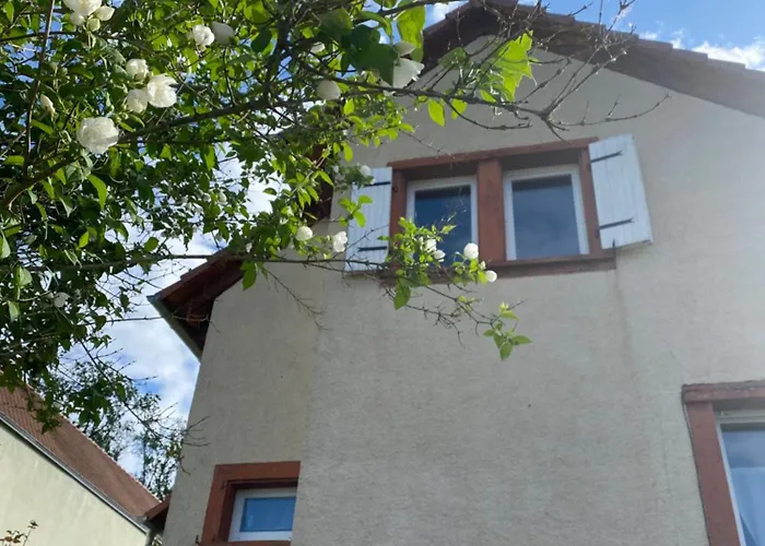 Le Refuge De L'ours Baerenthal