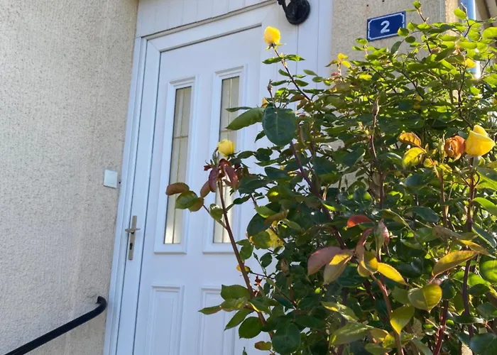 Le Refuge De L'ours *