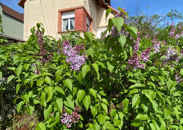 Le Refuge De L'ours 別荘 ベーレンタール