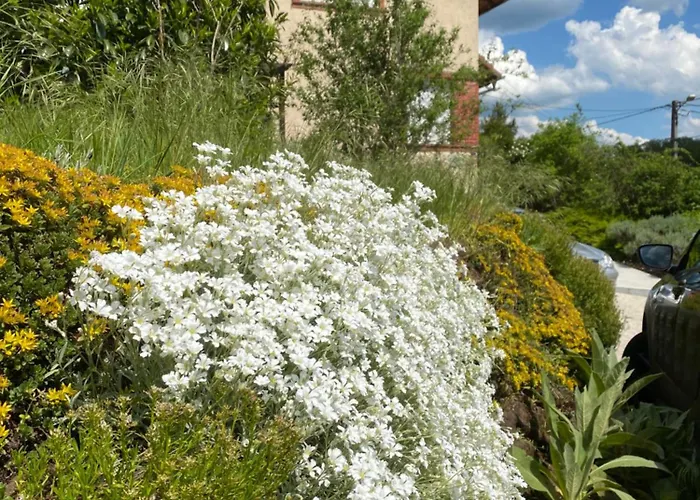 Le Refuge De L'ours Baerenthal
