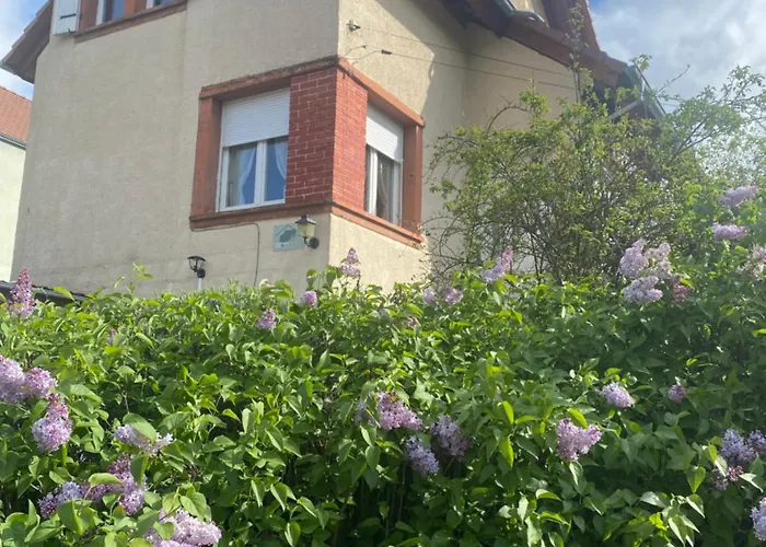 Le Refuge De L'ours * ベーレンタール