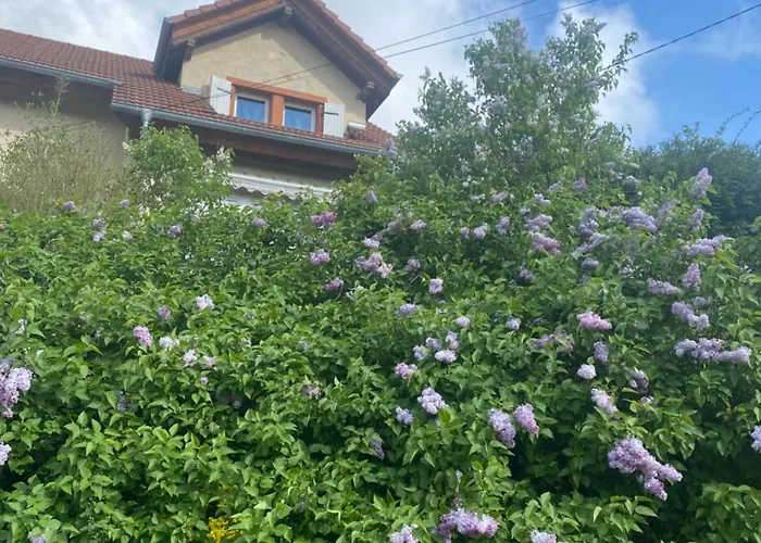 Le Refuge De L'ours 別荘