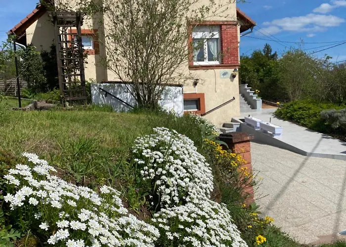 Dom wakacyjny Le Refuge De L'ours Baerenthal